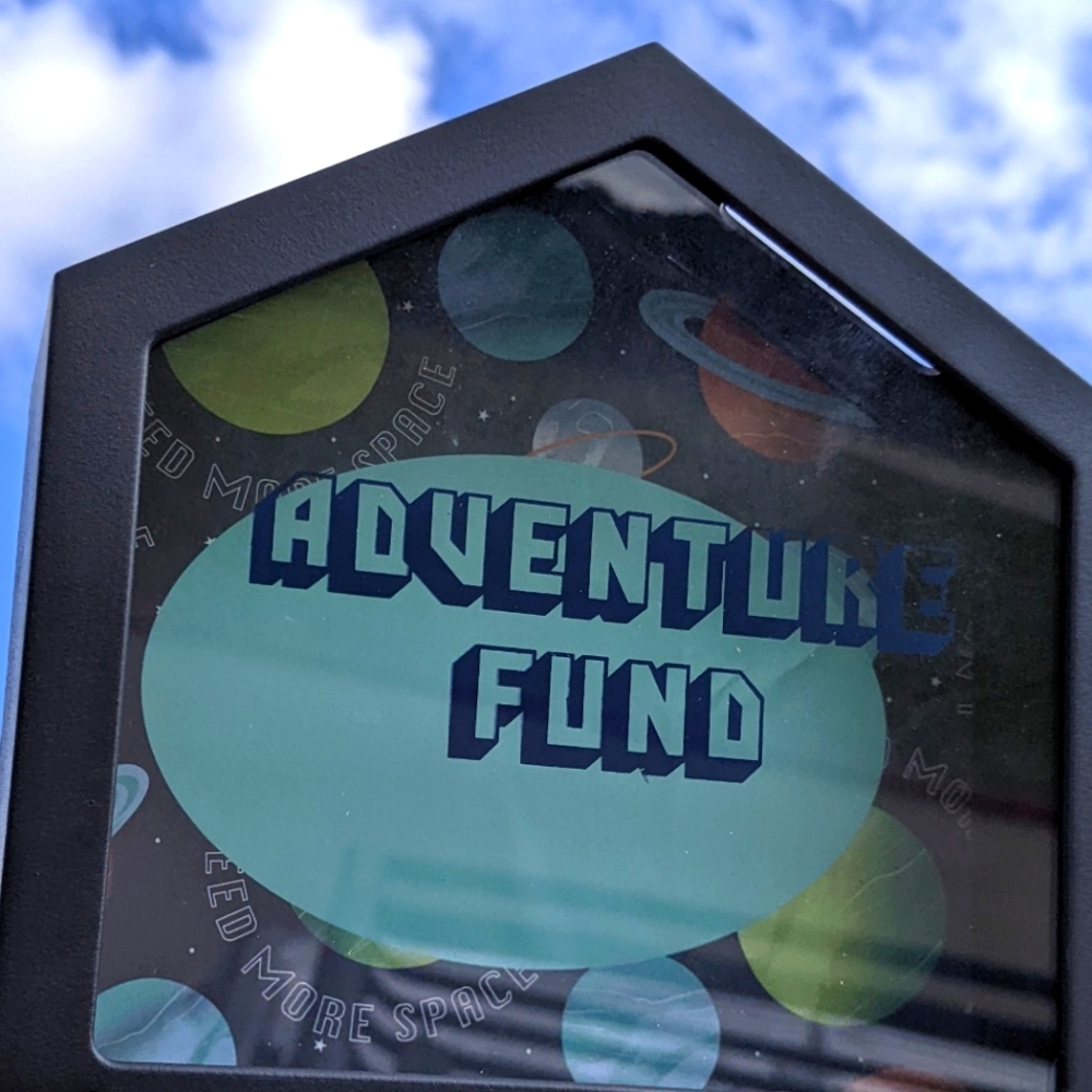 Coin bank, money bank, piggy bank for adult, shadow box Adventure fund